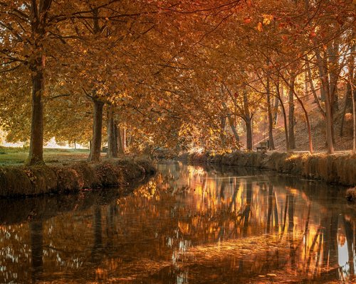 Persona descansando la vista mirando por la ventana